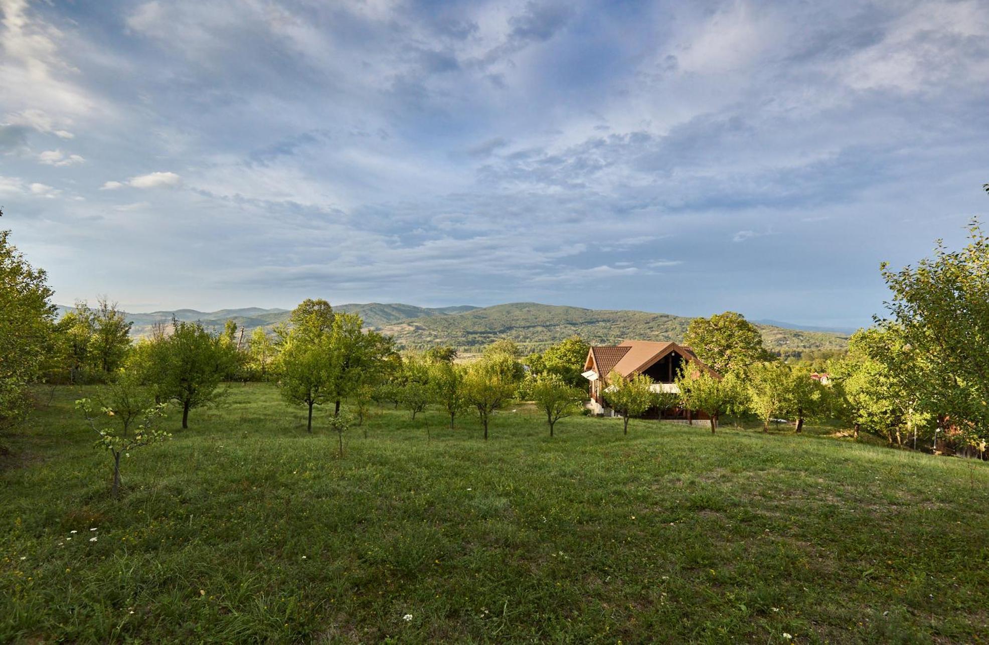 Dream House - Buzau Valley Villa Viperesti Exterior photo